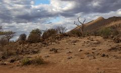 *** Samburu National Reserve ***