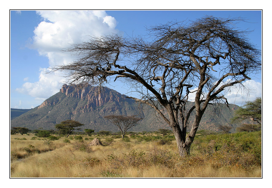 Samburu- Nationalpark