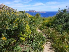 Samedi-calanques