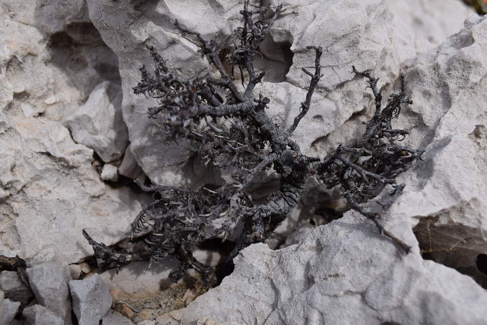 samedi en noir et blanc à la calanque de la mounine 