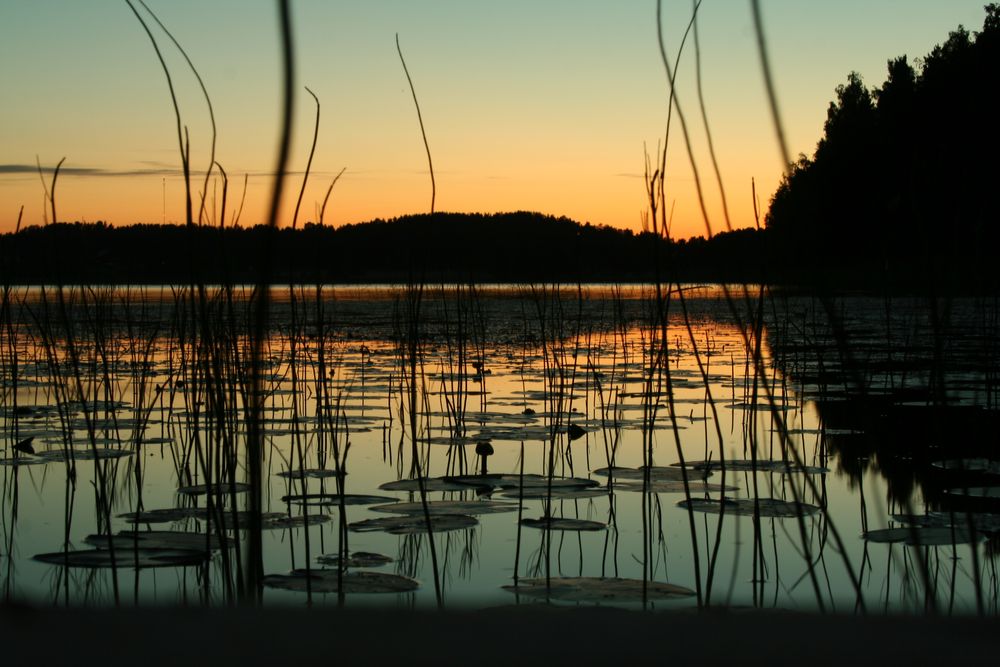 Samela, Finnland von Gabor Bardos 