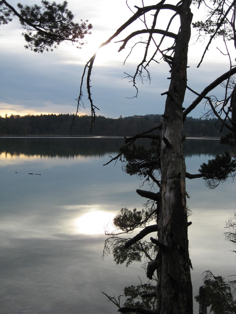 Samhain an den Osterseen