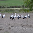 sammeln zum Abflug