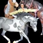 Sammler, Pferde, Breyer, Miniaturen, Modelle, Figuren