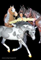 Sammler, Pferde, Breyer, Miniaturen, Modelle, Figuren