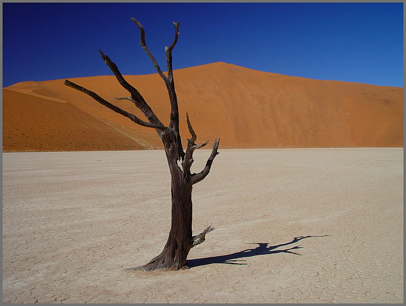 Sammlung Namibia, hier: Totes Vlei