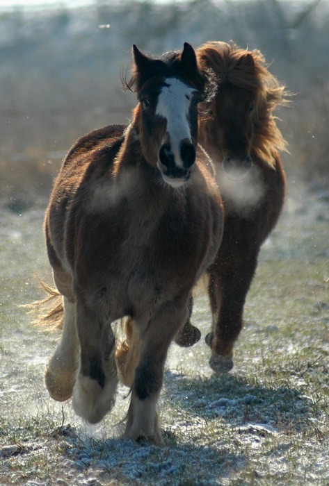 Sammy und Patti II