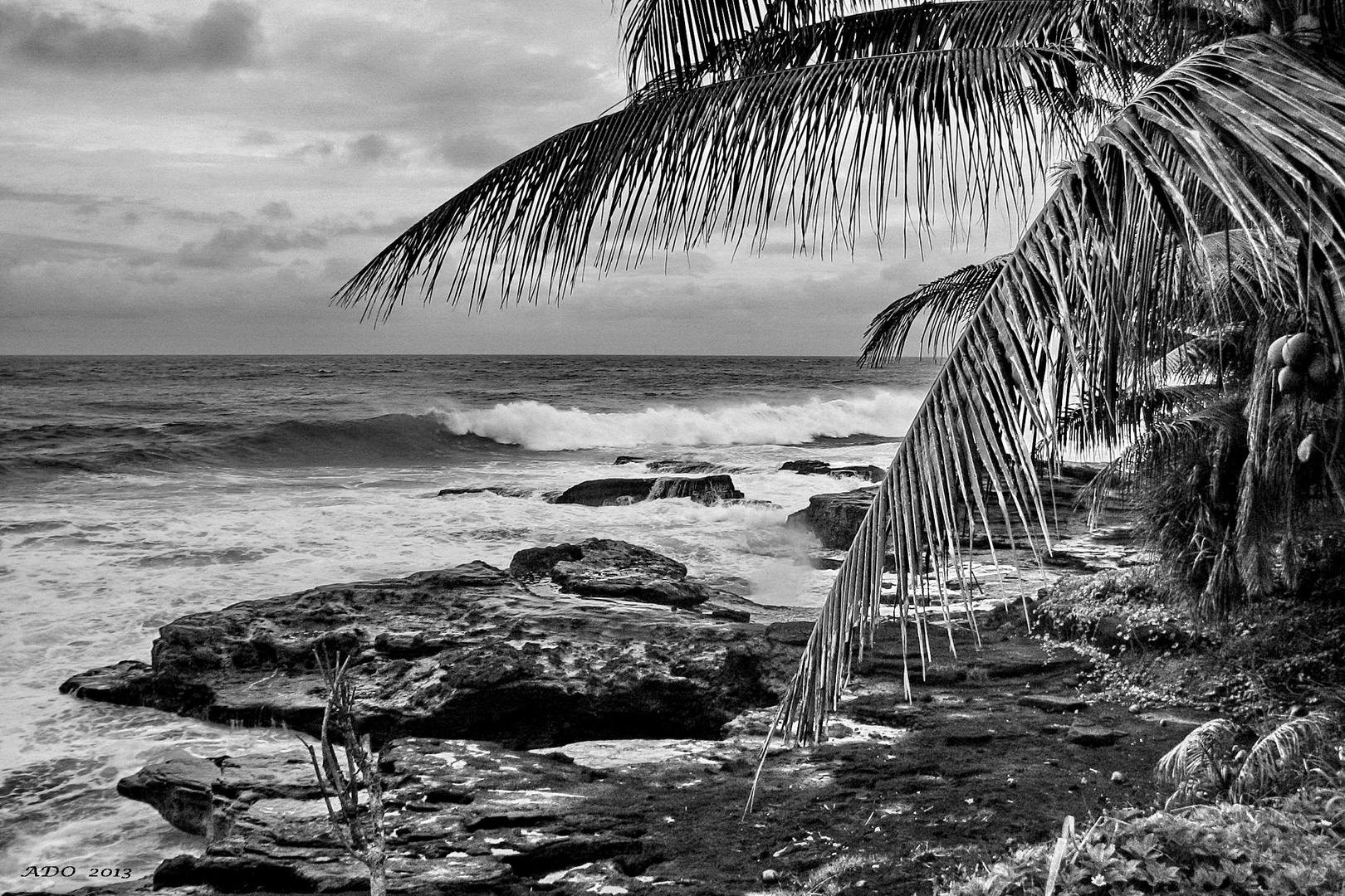 Samoa - a View from the Shore (2)