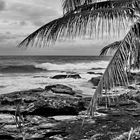 Samoa - a View from the Shore (2)