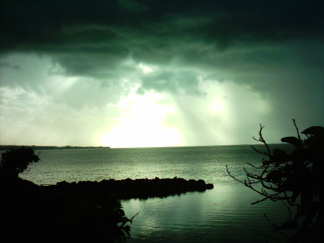 Samoan afternoon