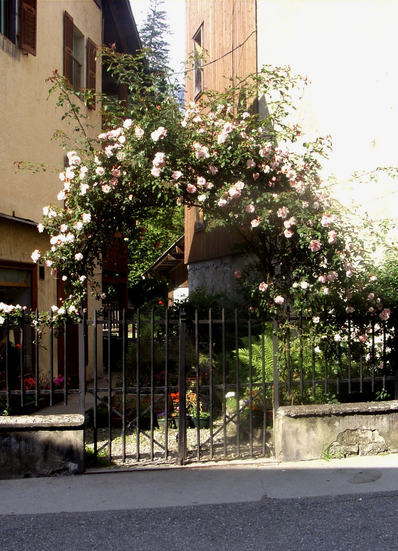 Samoëns (Haute-Savoie) (1)