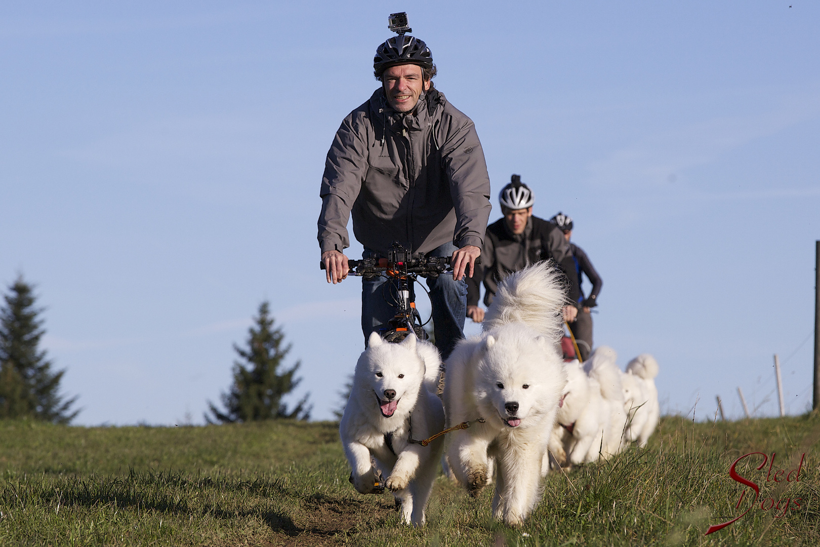 Samojedenausflug