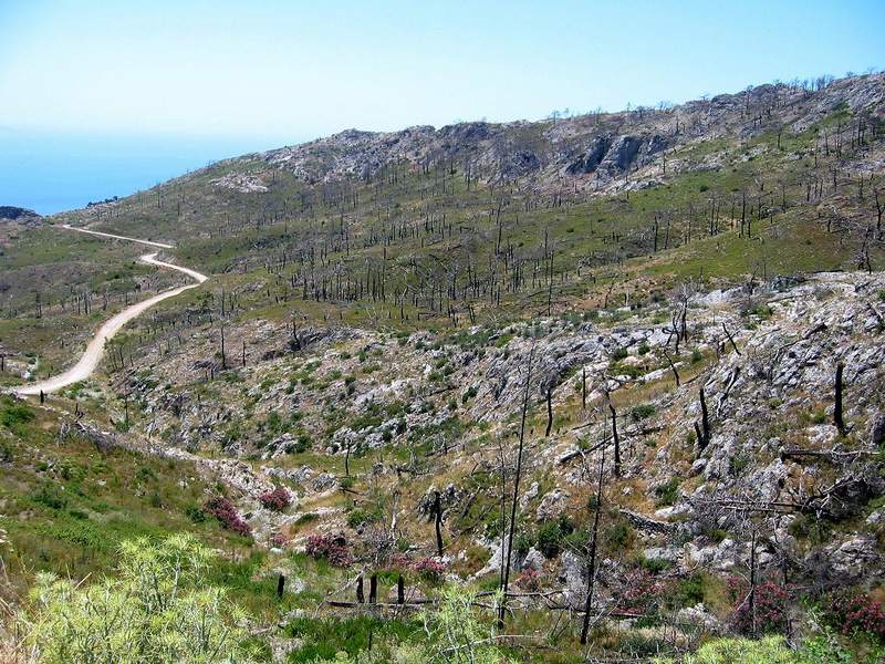 Samos Bergland nach den Waldbränden