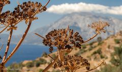 Samos im September