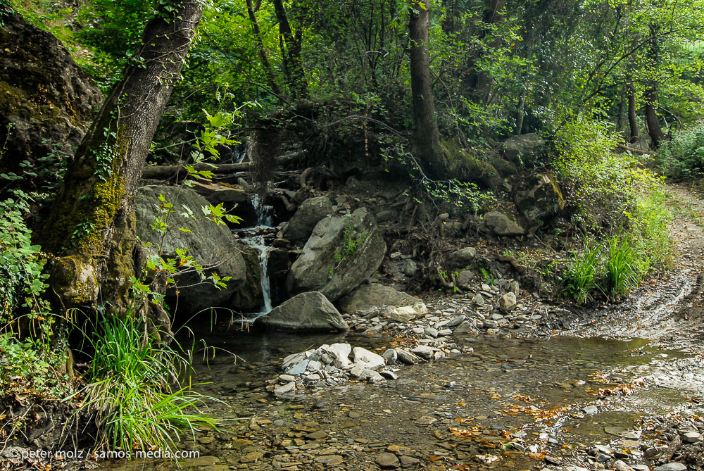 Samos - In a green and shady valley