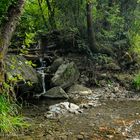 Samos - In a green and shady valley