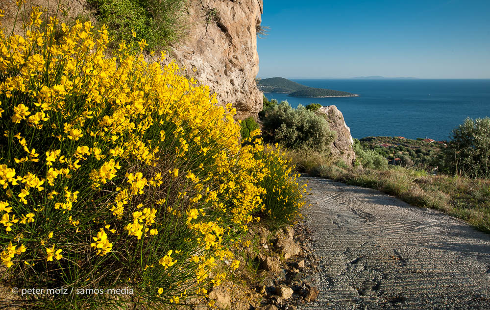 Samos - road going down to Vergi