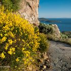 Samos - road going down to Vergi