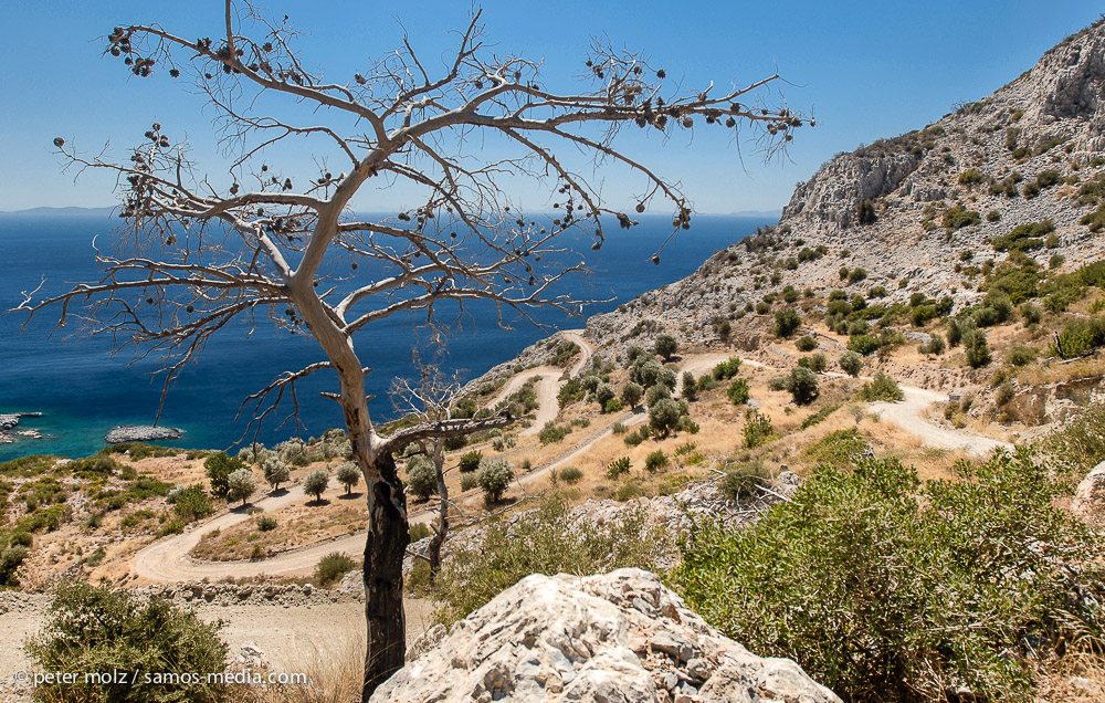 Samos/Griechenland - Weg hinunter zur Tsopela Bucht