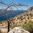 Samos/Griechenland - Weg hinunter zur Tsopela Bucht