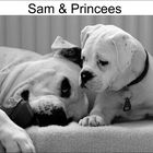 Sam&Princees