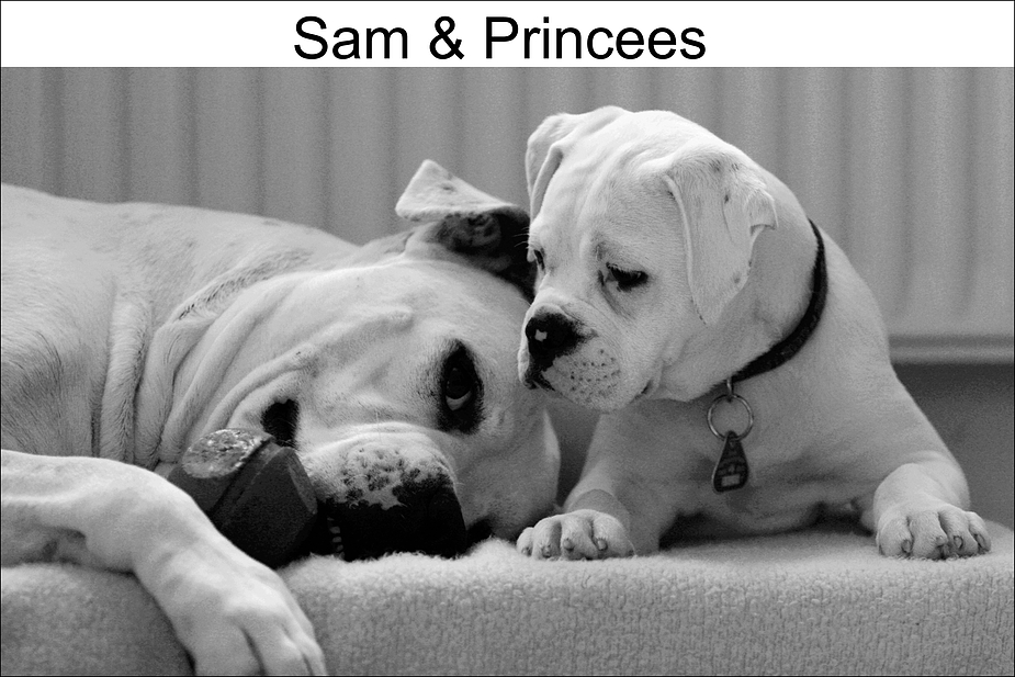Sam&Princees