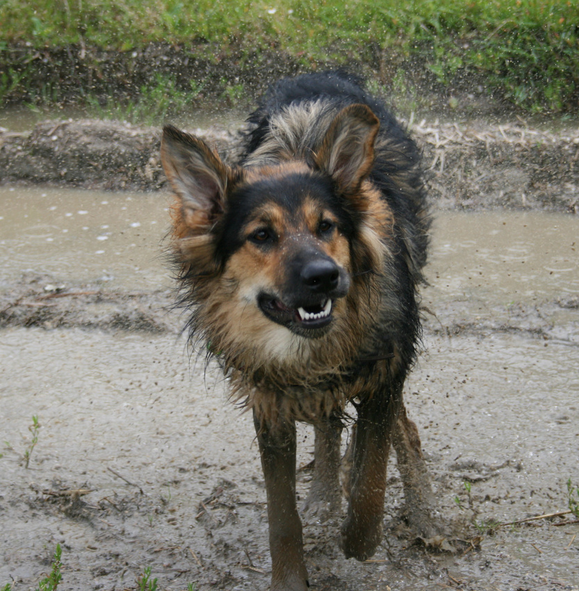 Sams Wasserschlacht