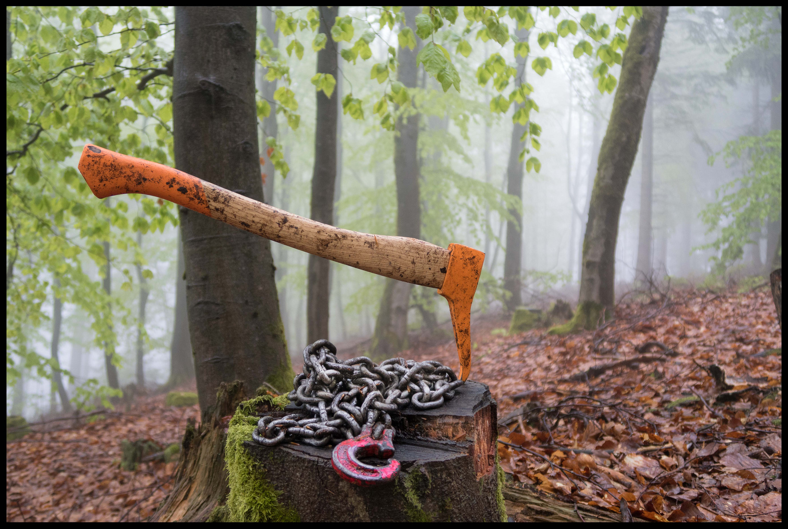 " Samstag 7 Uhr früh,..Waldarbeit Oberfranken "