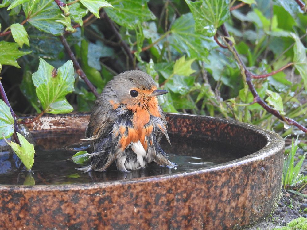 Samstag - Badetag