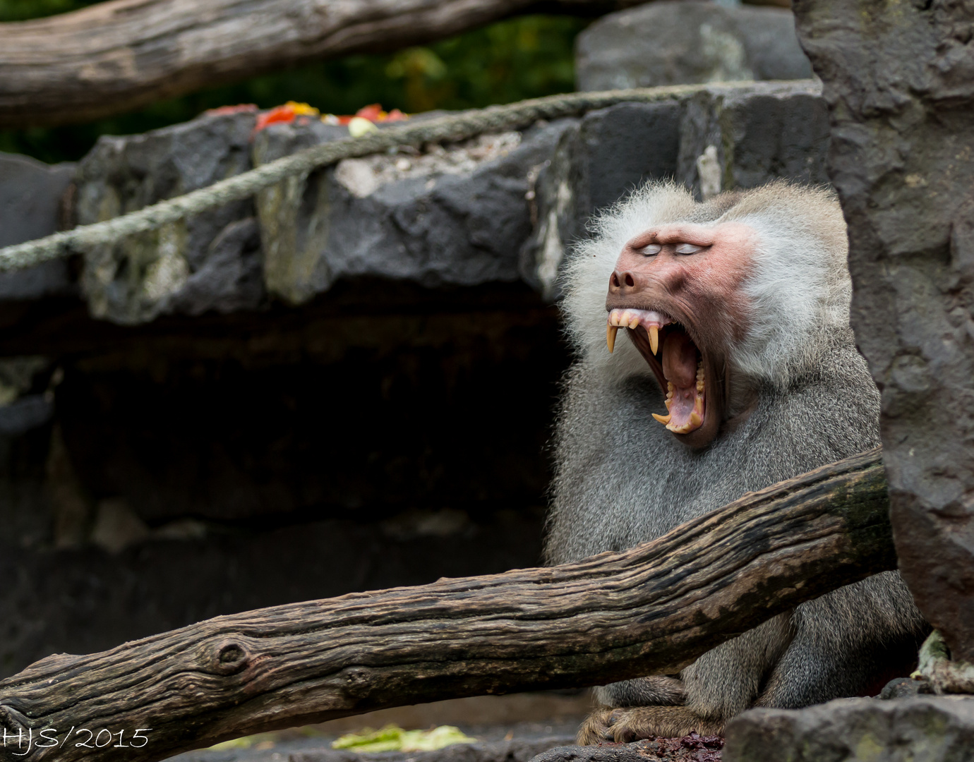 Samstag im Krefelder-Zoo