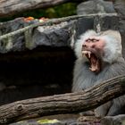 Samstag im Krefelder-Zoo