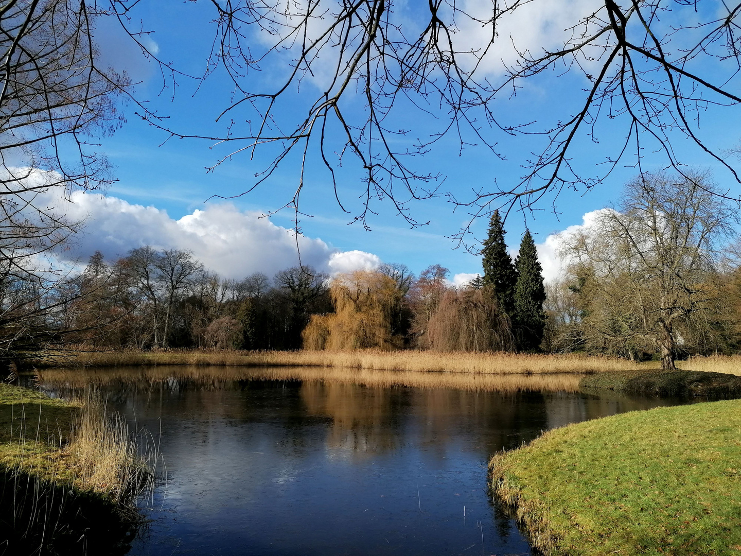 Samstag im Park