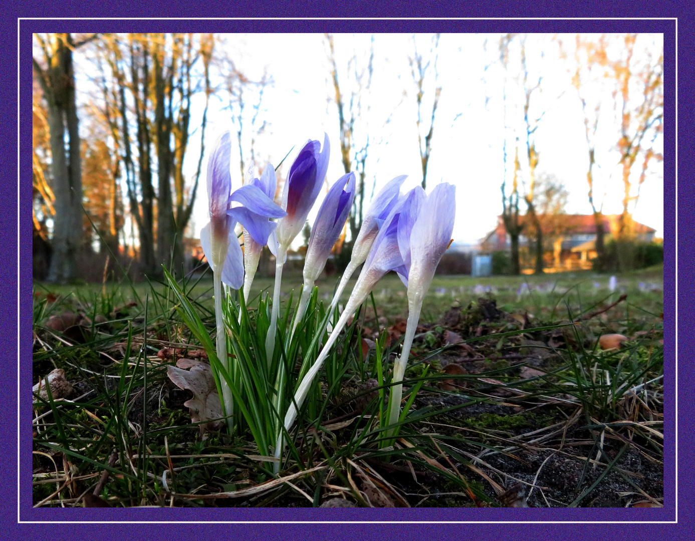 Samstag im Park ...