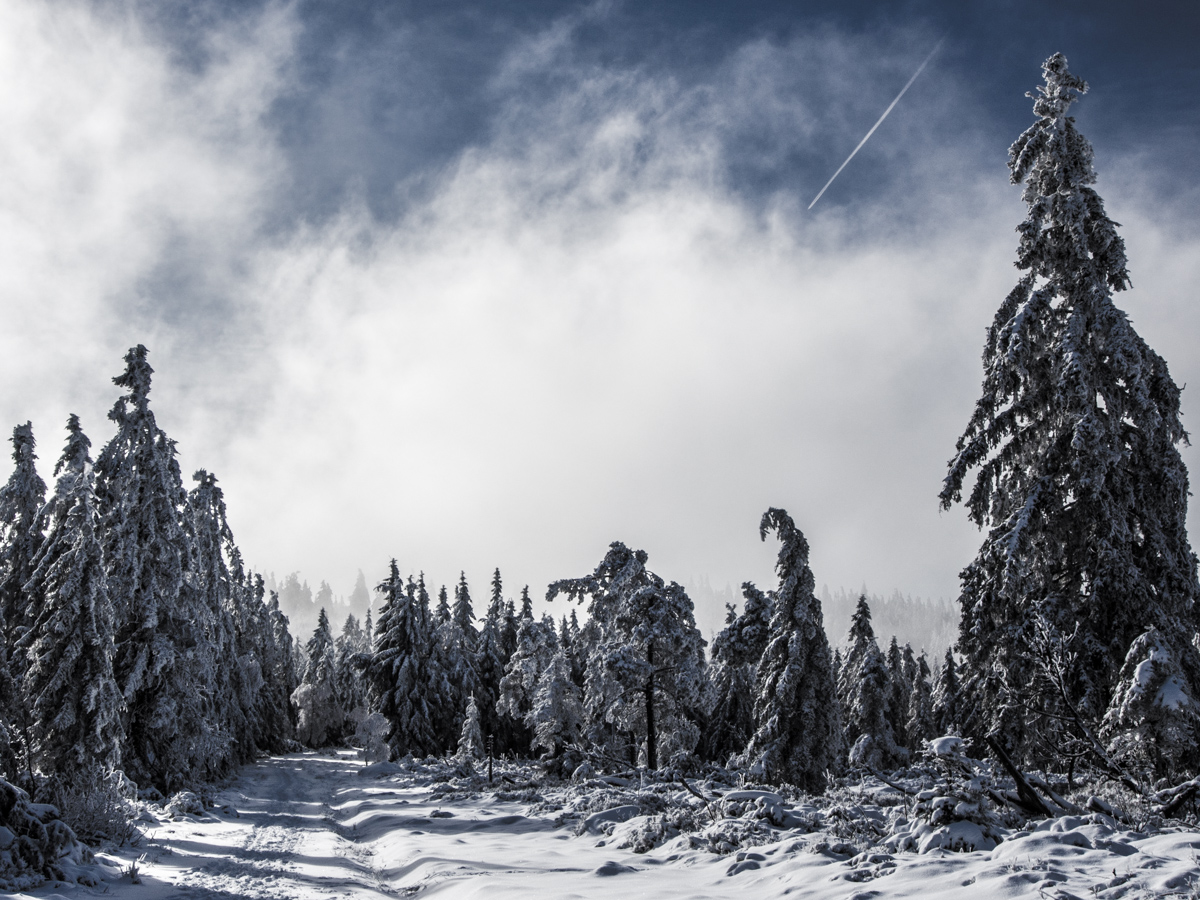 Samstag im Schwarzwald...