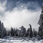 Samstag im Schwarzwald...