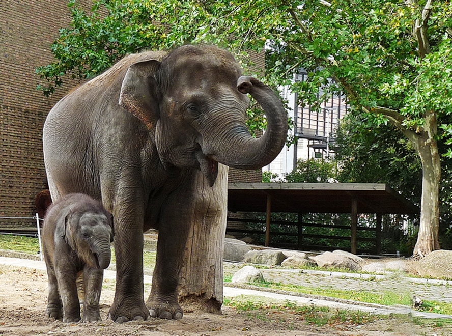 Samstag im Zoo Berlin