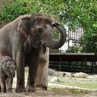 Samstag im Zoo Berlin