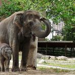 Samstag im Zoo Berlin