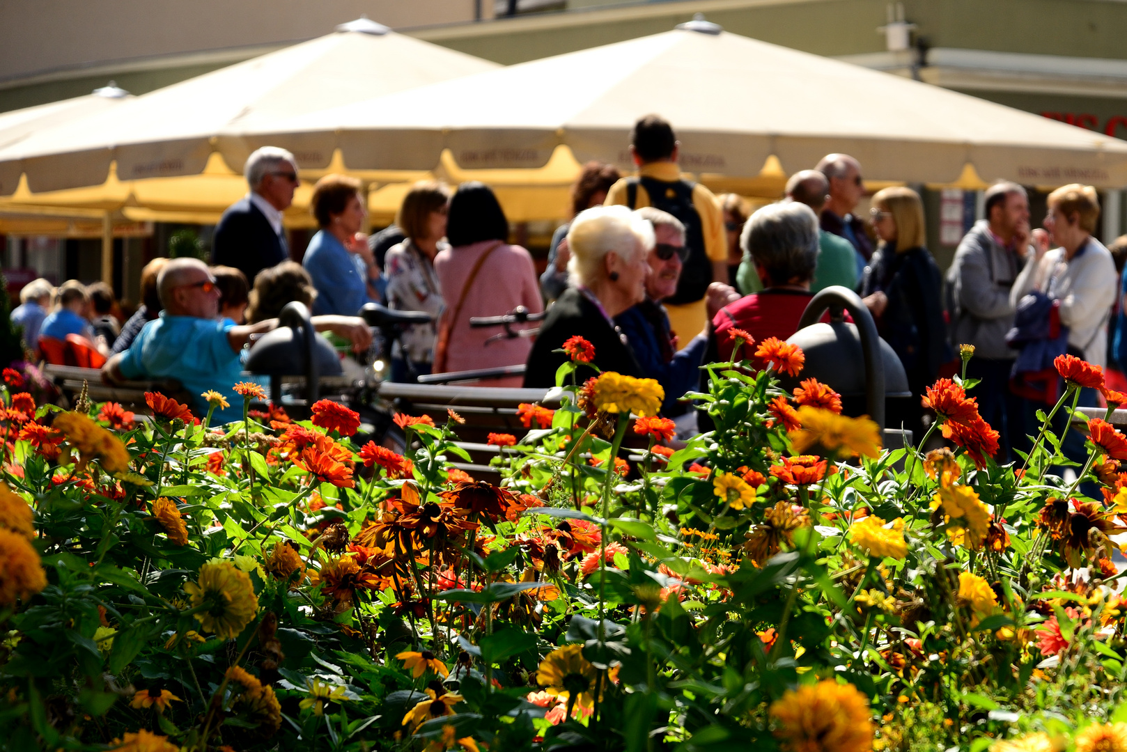 Samstag in Weimar