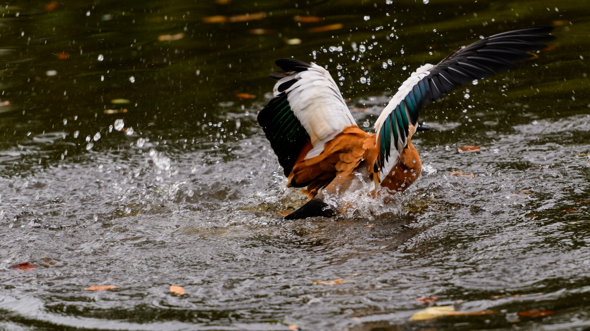 Samstag ist Badetag