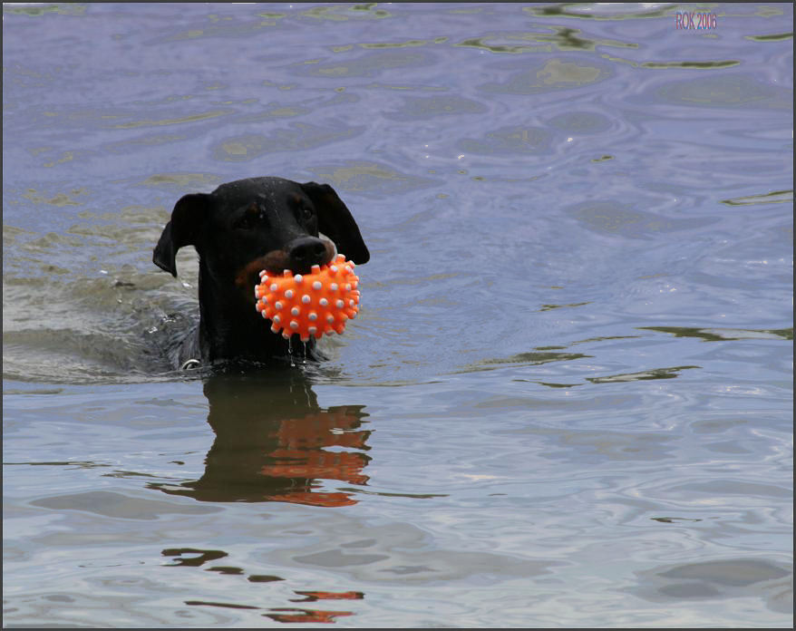 Samstag ist Badetag