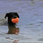 Samstag ist Badetag