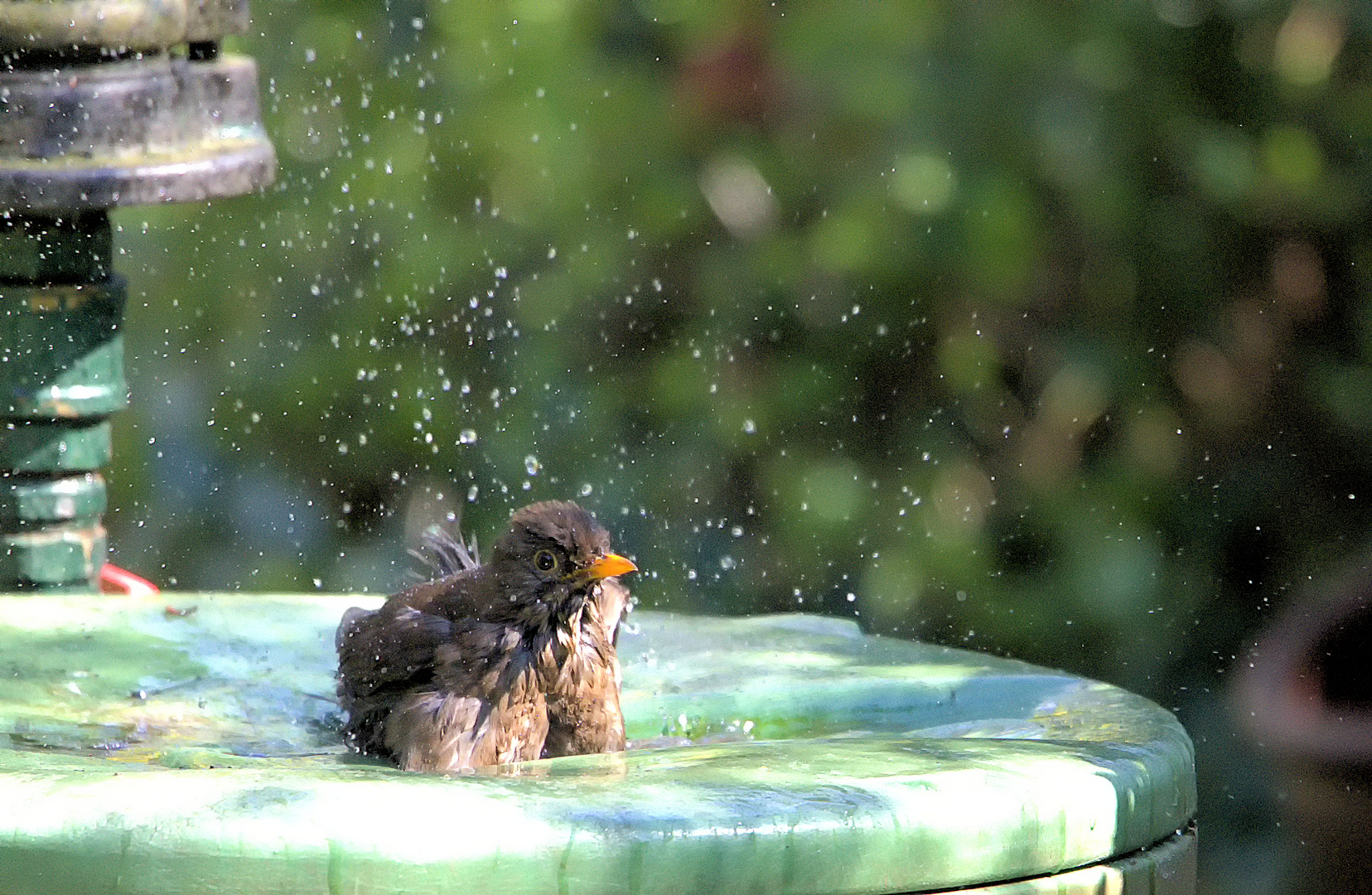 Samstag ist Badetag