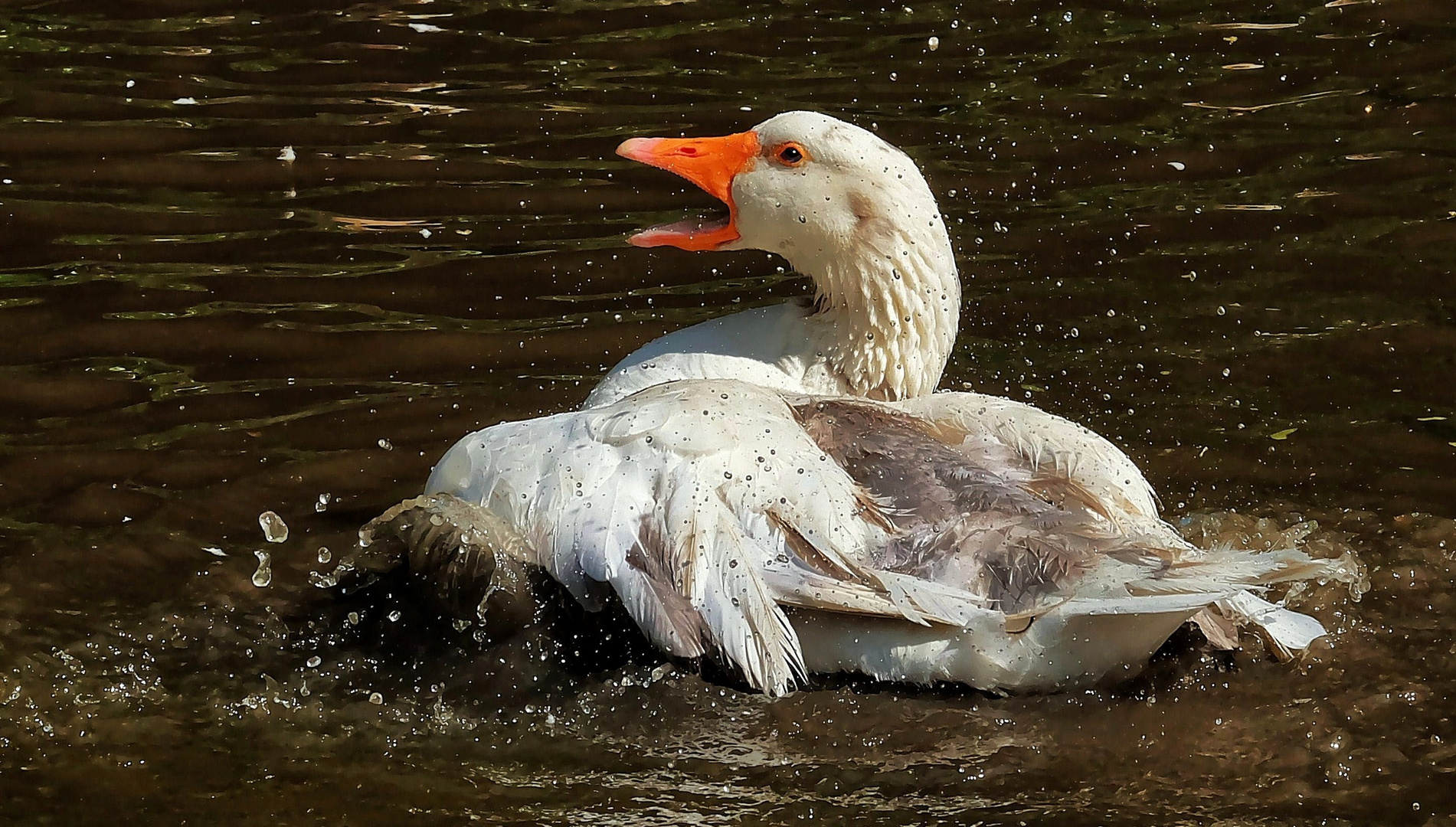 Samstag ist Badetag