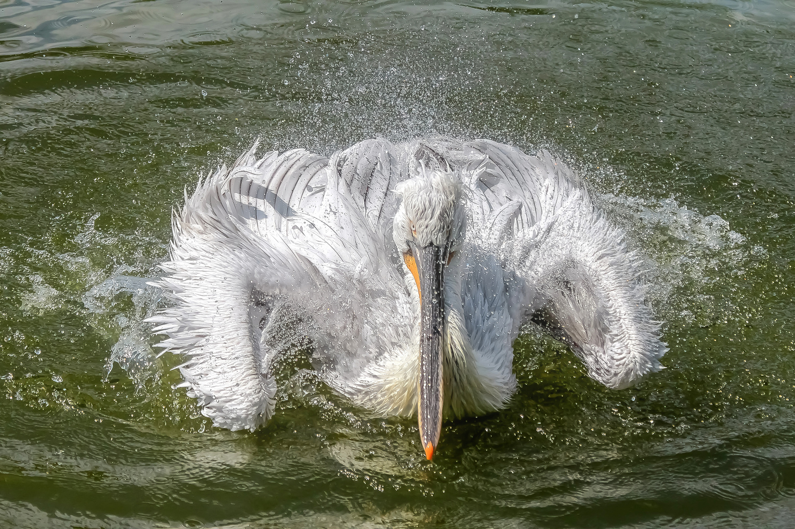 Samstag ist Badetag