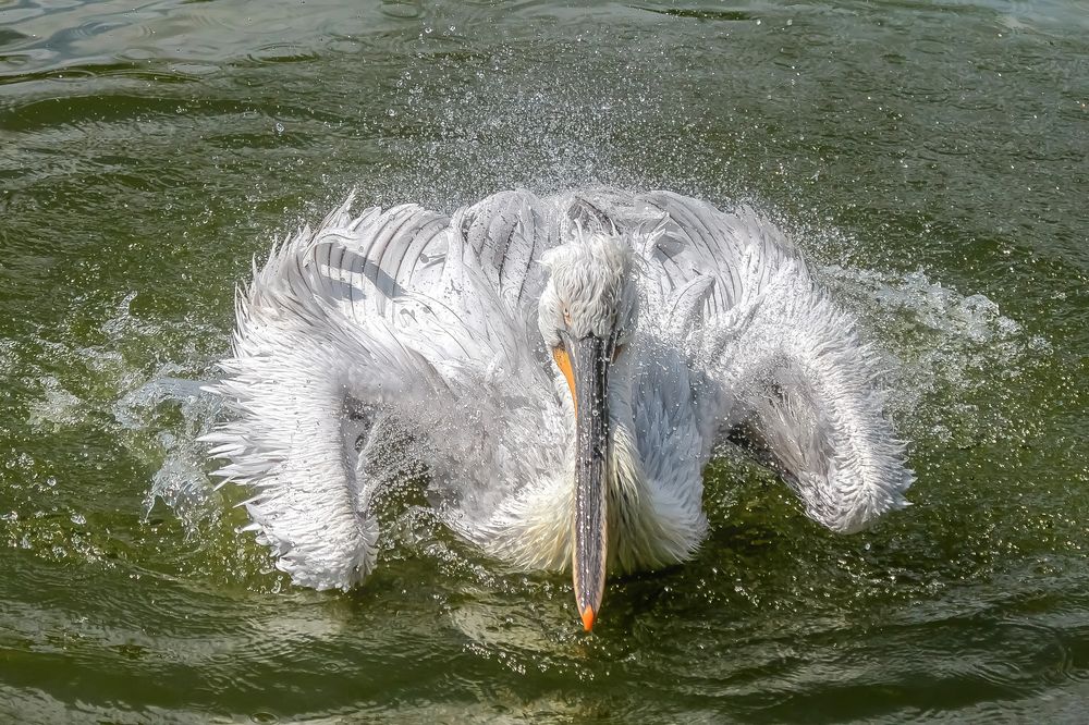 Samstag ist Badetag