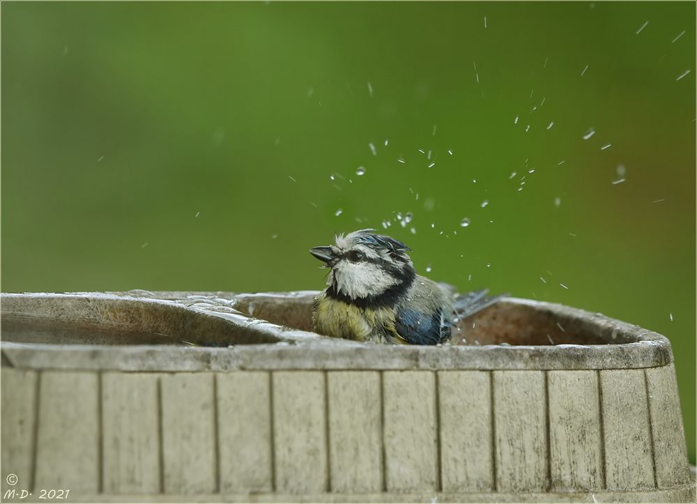 Samstag ist Badetag ...