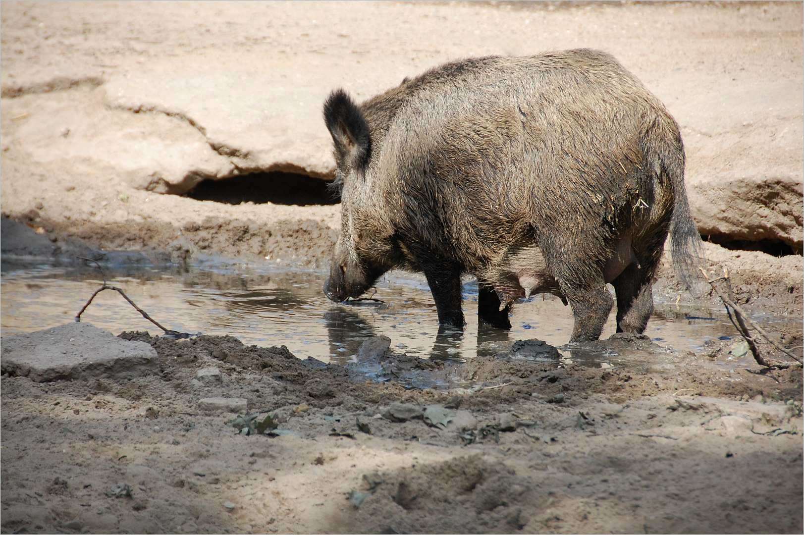 Samstag  ist Badetag