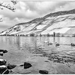 Samstag ist Badetag - im Tal der Ahnungslosen