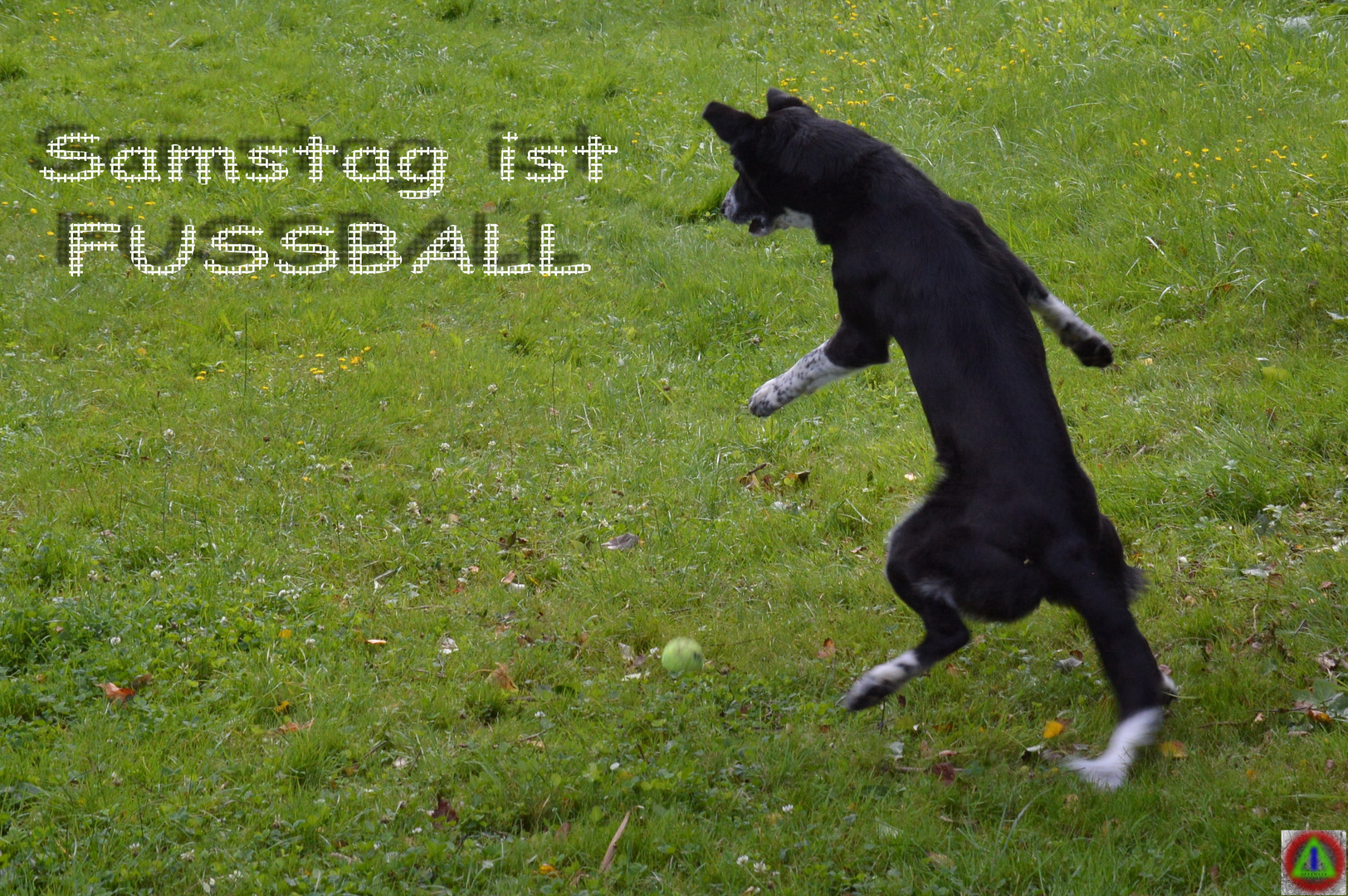 Samstag ist FUSSBALL